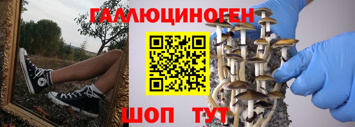 Галлюциногенные грибы Cubensis  Вход с VPN  Верхний Уфалей 